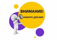 О проведении конкурсного отбора проектов иных некоммерческих организаций, не являющихся муниципальными учреждениями  на предоставление субсидии для проведения мероприятий по организации деятельности народной дружины по охране общественного порядка на терр