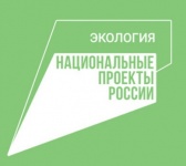 В Кудымкаре продолжается реализация пилотного проекта по раздельному сбору твердых коммунальных отходов