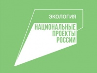 В Кудымкаре на 11 площадках будут установлены новые контейнеры для сбора твердых коммунальных отходов