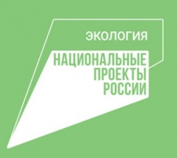 В Кудымкаре продолжается реализация пилотного проекта по раздельному сбору твердых коммунальных отходов