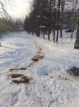 Катание на неорганизованном спуске (горке) опасно!