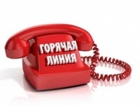 О проведении «горячей линии»