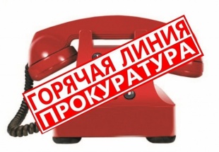 В Кудымкарской городской прокуратуре организована «горячая линия»
