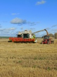  Аграрии Кудымкарского муниципального округа завершили уборочную кампанию