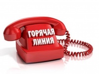 О проведении прямой телефонной линии