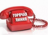 Березниковская природоохранная прокуратура 17 июня проведет «горячую линию» 