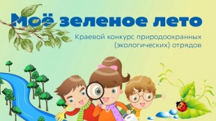 О краевом конкурсе природоохранных экологических отрядов «Моё зелёное лето»