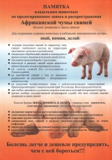 Африканская чума свиней. Памятка для владельцев животных. 