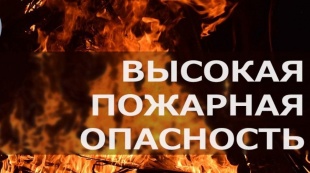 Ограничение пребывания граждан в лесах Кудымкарского лесничества