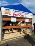 Сельскохозяйственный кооператив "Россия" выступает на выставке "Прикамский агрофест - 2025"